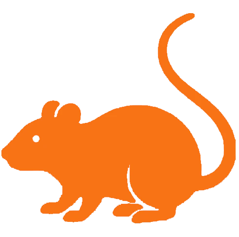 Rodent control icon